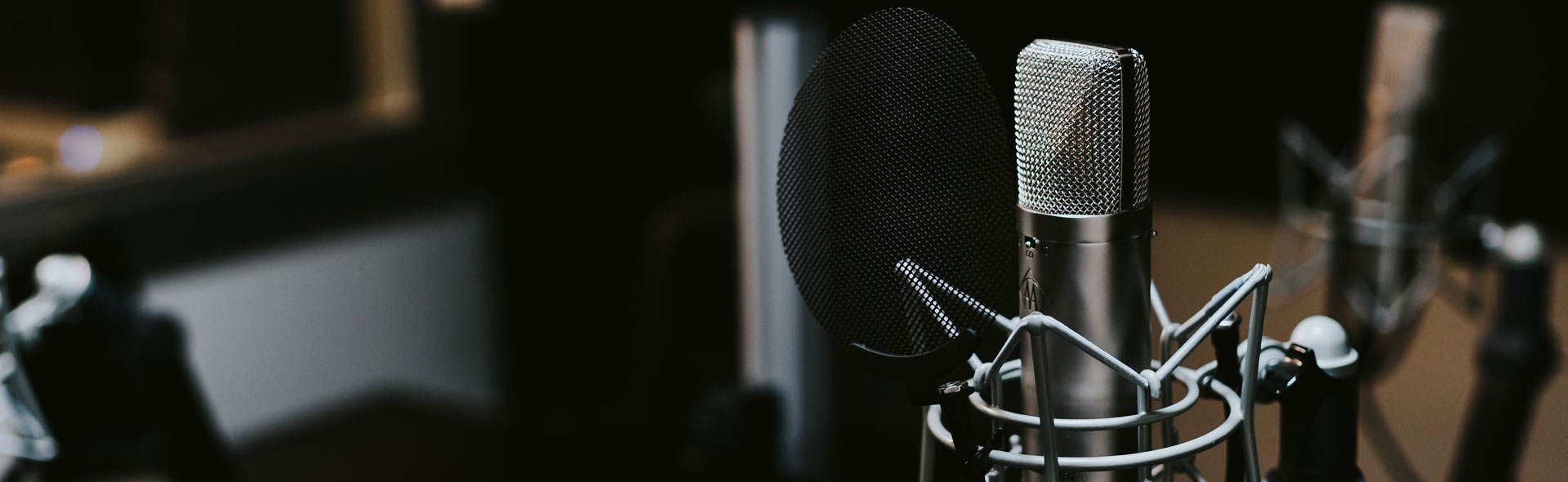 Voiceover Artist